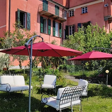 Agrifoglio - Palazzo Ravaschieri Bracelli
