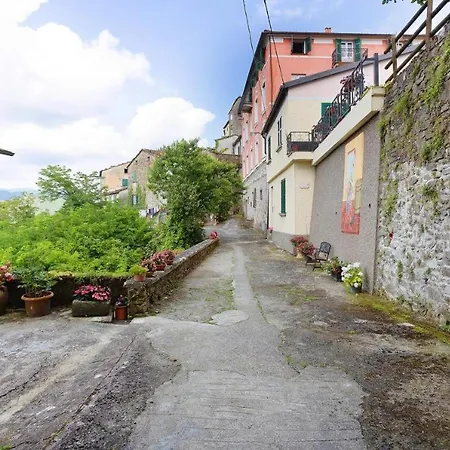 Agrifoglio - Palazzo Ravaschieri Bracelli